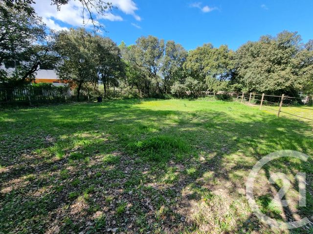 terrain à vendre - 430.0 m2 - SARDAN - 30 - LANGUEDOC-ROUSSILLON - Century 21 Jcd Immobilier