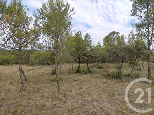 terrain à vendre - 8675.0 m2 - CANNES ET CLAIRAN - 30 - LANGUEDOC-ROUSSILLON - Century 21 Jcd Immobilier