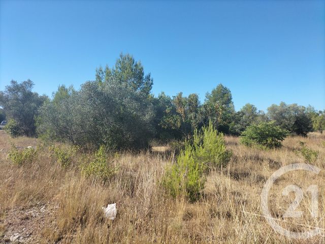 terrain à vendre - 4234.0 m2 - AUBAIS - 30 - LANGUEDOC-ROUSSILLON - Century 21 Jcd Immobilier