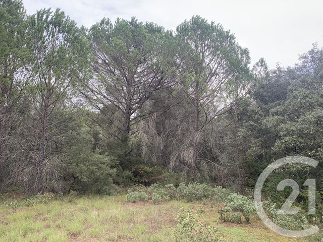 terrain à vendre - 1550.0 m2 - AUJARGUES - 30 - LANGUEDOC-ROUSSILLON - Century 21 Jcd Immobilier