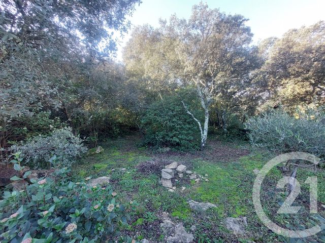 terrain à vendre - 6660.0 m2 - VILLEVIEILLE - 30 - LANGUEDOC-ROUSSILLON - Century 21 Jcd Immobilier