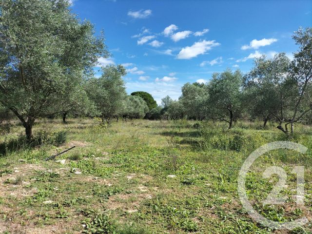 terrain à vendre - 8505.0 m2 - AUBAIS - 30 - LANGUEDOC-ROUSSILLON - Century 21 Jcd Immobilier