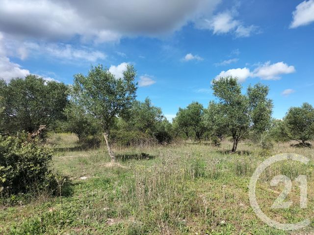 terrain à vendre - 10400.0 m2 - AUBAIS - 30 - LANGUEDOC-ROUSSILLON - Century 21 Jcd Immobilier