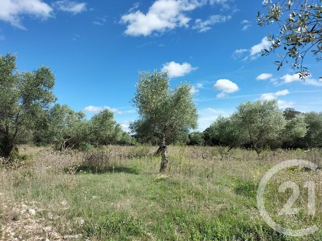 terrain à vendre - 9680.0 m2 - AUBAIS - 30 - LANGUEDOC-ROUSSILLON - Century 21 Jcd Immobilier