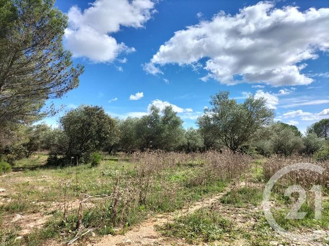 terrain à vendre - 9240.0 m2 - AUBAIS - 30 - LANGUEDOC-ROUSSILLON - Century 21 Jcd Immobilier