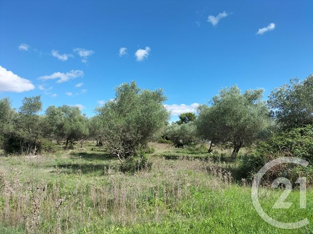 terrain à vendre - 17205.0 m2 - AUBAIS - 30 - LANGUEDOC-ROUSSILLON - Century 21 Jcd Immobilier