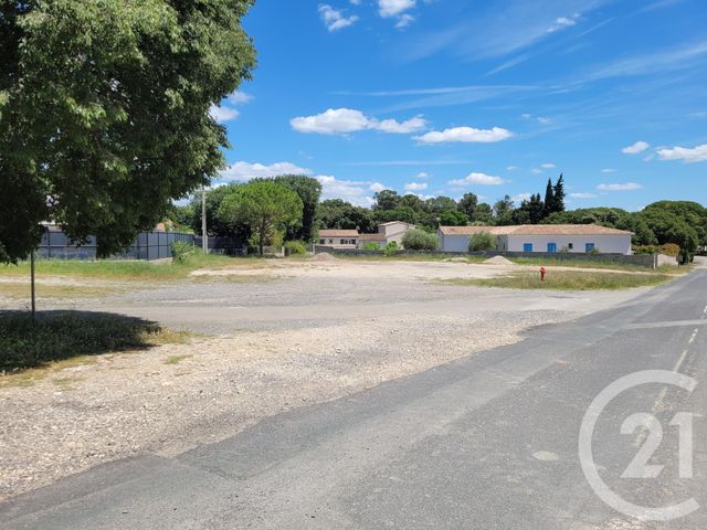 entreprise à louer - 130.0 m2 - SALINELLES - 30 - LANGUEDOC-ROUSSILLON - Century 21 Jcd Immobilier