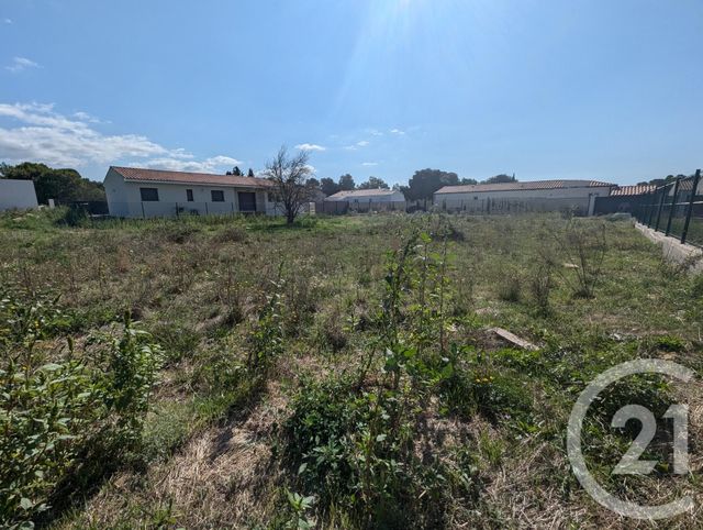 terrain - VILLEVIEILLE - 30