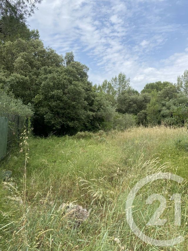 terrain à vendre - 2055.0 m2 - JUNAS - 30 - LANGUEDOC-ROUSSILLON - Century 21 Jcd Immobilier