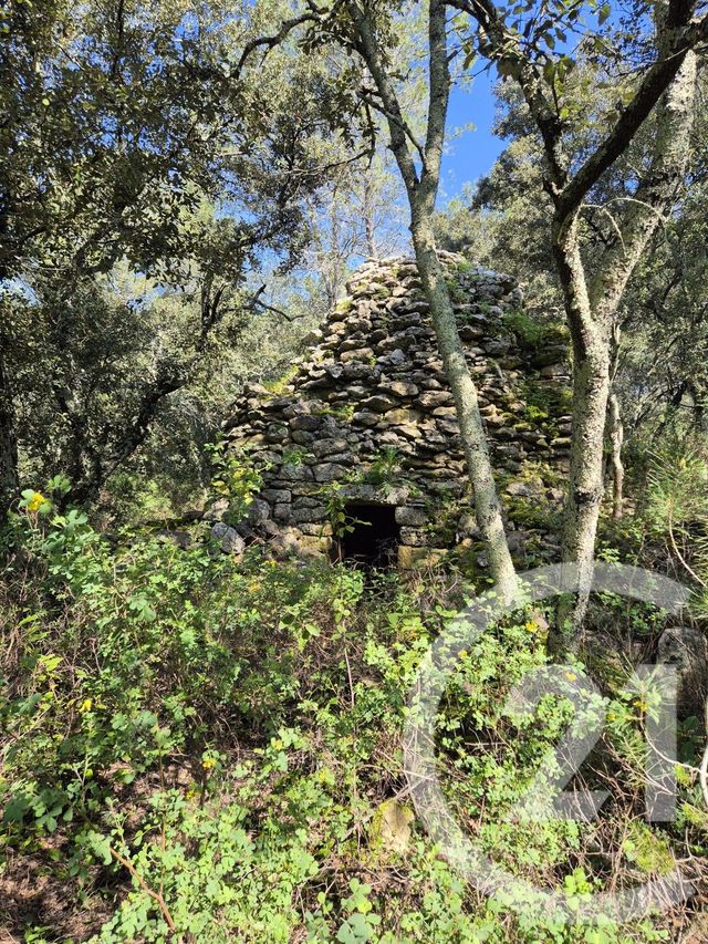terrain - VILLEVIEILLE - 30