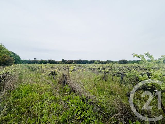 Afficher la photo en grand terrain à vendre - 20380.0 m2 - SAUSSINES - 34 - LANGUEDOC-ROUSSILLON - Century 21 Jcd Immobilier