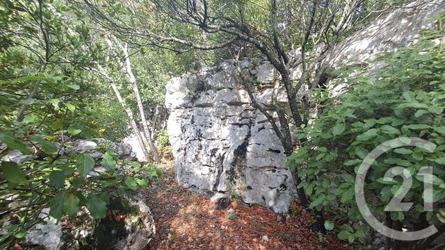 maison à vendre - 5 pièces - 91.0 m2 - SAUVE - 30 - LANGUEDOC-ROUSSILLON - Century 21 Jcd Immobilier