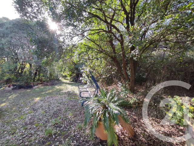 maison à vendre - 8 pièces - 176.69 m2 - VILLEVIEILLE - 30 - LANGUEDOC-ROUSSILLON - Century 21 Jcd Immobilier