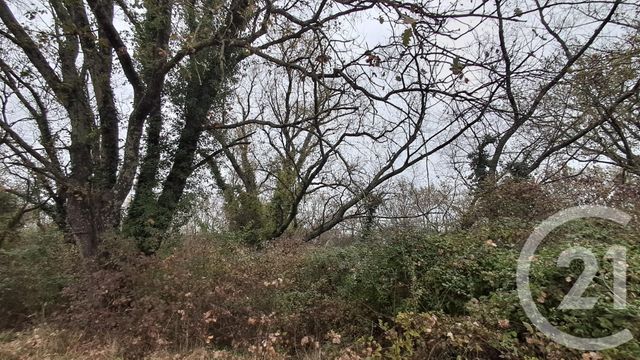 Terrain à vendre SARDAN