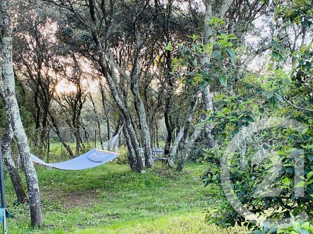 maison à vendre - 5 pièces - 110.8 m2 - VILLEVIEILLE - 30 - LANGUEDOC-ROUSSILLON - Century 21 Jcd Immobilier