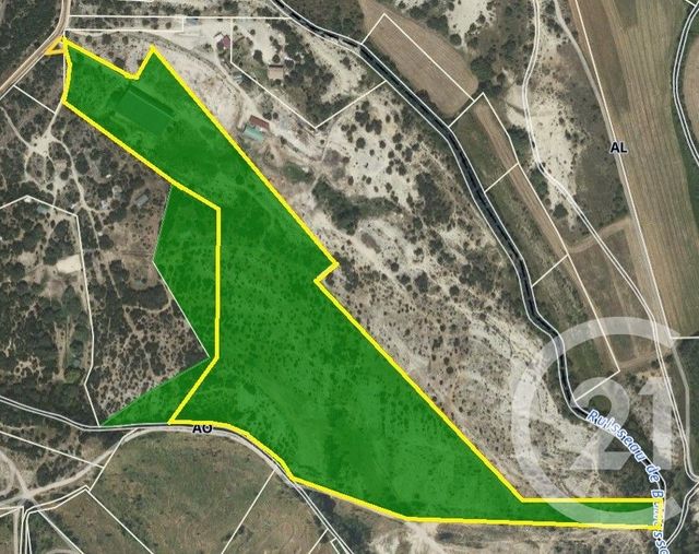 terrain à vendre - 71410.0 m2 - SAUVE - 30 - LANGUEDOC-ROUSSILLON - Century 21 Jcd Immobilier