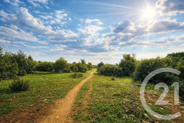 terrain à vendre - 71410.0 m2 - SAUVE - 30 - LANGUEDOC-ROUSSILLON - Century 21 Jcd Immobilier