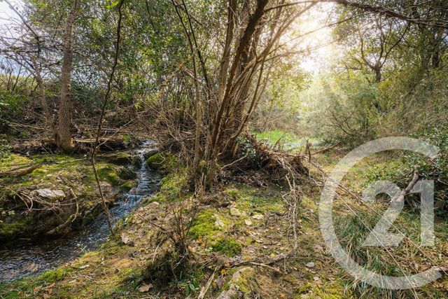 terrain à vendre - 71410.0 m2 - SAUVE - 30 - LANGUEDOC-ROUSSILLON - Century 21 Jcd Immobilier