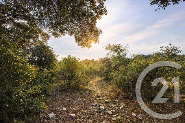 terrain à vendre - 71410.0 m2 - SAUVE - 30 - LANGUEDOC-ROUSSILLON - Century 21 Jcd Immobilier