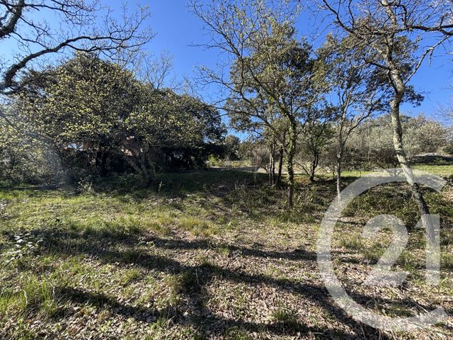 terrain à vendre - 1919.0 m2 - MOULES ET BAUCELS - 34 - LANGUEDOC-ROUSSILLON - Century 21 Jcd Immobilier