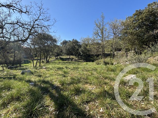 terrain à vendre - 1919.0 m2 - MOULES ET BAUCELS - 34 - LANGUEDOC-ROUSSILLON - Century 21 Jcd Immobilier