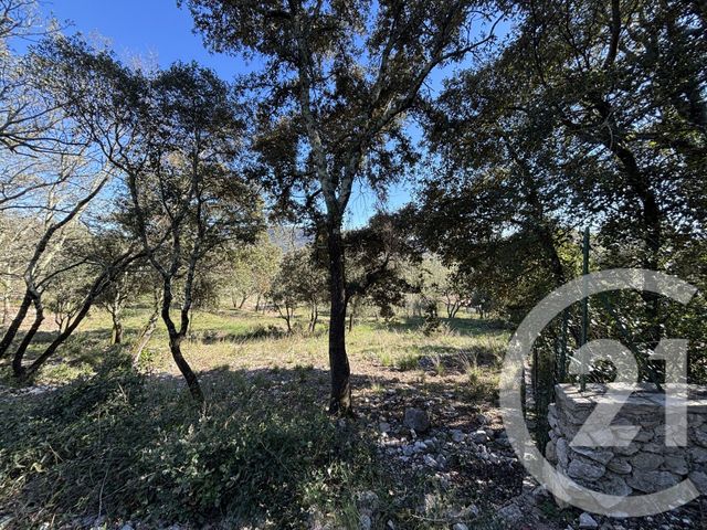 terrain à vendre - 1919.0 m2 - MOULES ET BAUCELS - 34 - LANGUEDOC-ROUSSILLON - Century 21 Jcd Immobilier