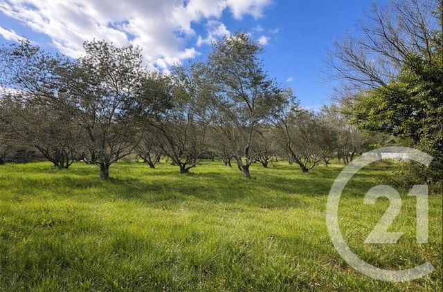 terrain - MOULES ET BAUCELS - 34