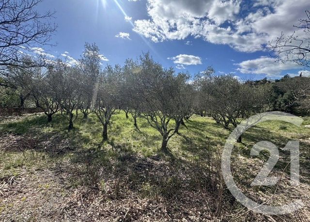 terrain à vendre - 1852.0 m2 - MOULES ET BAUCELS - 34 - LANGUEDOC-ROUSSILLON - Century 21 Jcd Immobilier