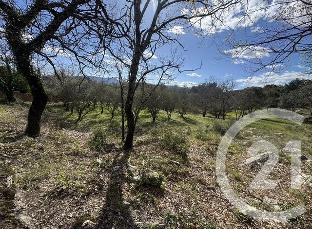 terrain à vendre - 1852.0 m2 - MOULES ET BAUCELS - 34 - LANGUEDOC-ROUSSILLON - Century 21 Jcd Immobilier
