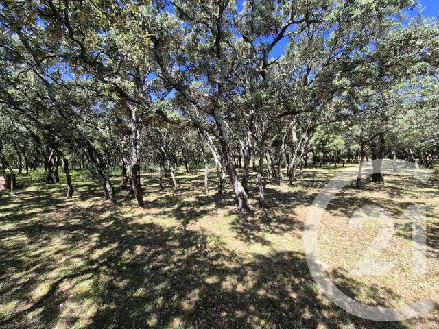 terrain à vendre - 1000.0 m2 - SOMMIERES - 30 - LANGUEDOC-ROUSSILLON - Century 21 Jcd Immobilier