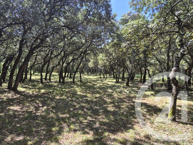 terrain à vendre - 1000.0 m2 - SOMMIERES - 30 - LANGUEDOC-ROUSSILLON - Century 21 Jcd Immobilier
