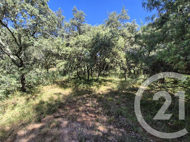 terrain à vendre - 2000.0 m2 - SOMMIERES - 30 - LANGUEDOC-ROUSSILLON - Century 21 Jcd Immobilier