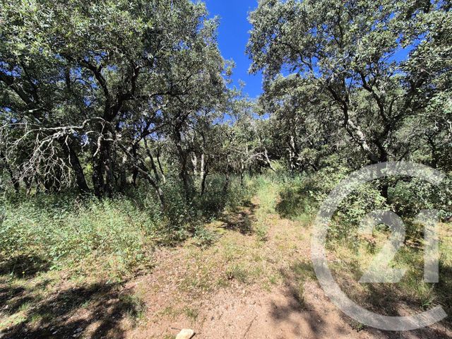 terrain à vendre - 2000.0 m2 - SOMMIERES - 30 - LANGUEDOC-ROUSSILLON - Century 21 Jcd Immobilier