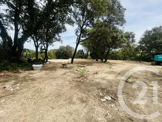 maison à vendre - 2 pièces - 180.0 m2 - CARNAS - 30 - LANGUEDOC-ROUSSILLON - Century 21 Jcd Immobilier