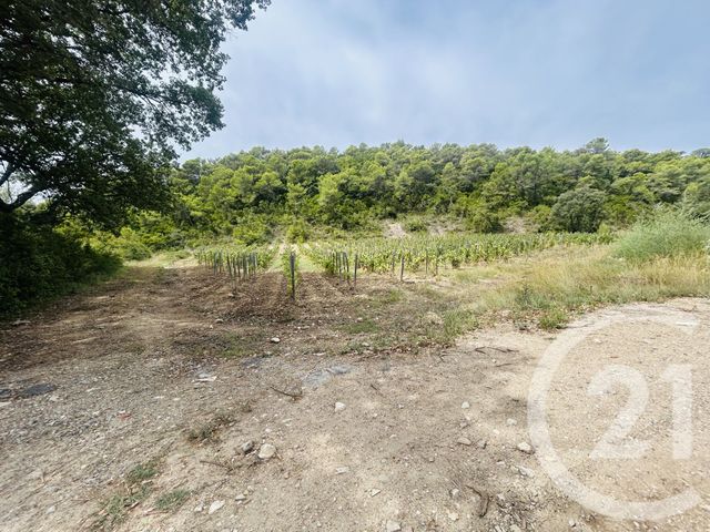 maison à vendre - 2 pièces - 180.0 m2 - CARNAS - 30 - LANGUEDOC-ROUSSILLON - Century 21 Jcd Immobilier
