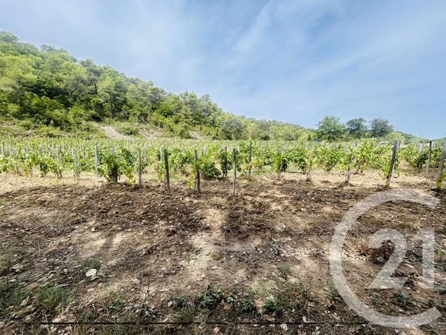 maison à vendre - 2 pièces - 180.0 m2 - CARNAS - 30 - LANGUEDOC-ROUSSILLON - Century 21 Jcd Immobilier