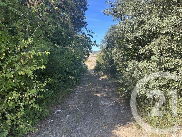 terrain à vendre - 9555.0 m2 - CAMPAGNE - 34 - LANGUEDOC-ROUSSILLON - Century 21 Jcd Immobilier