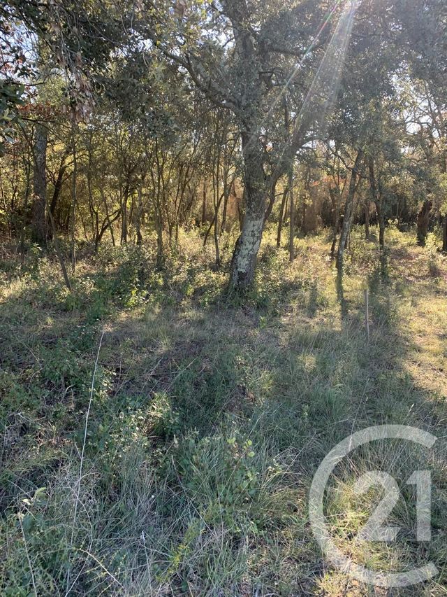 terrain - AUJARGUES - 30
