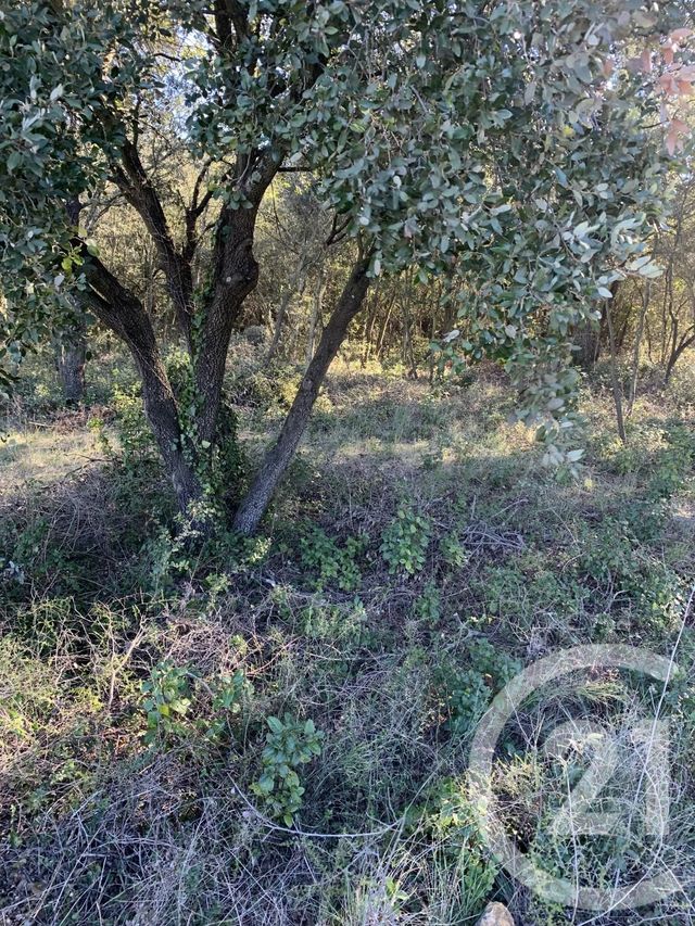 terrain à vendre - 1430.0 m2 - AUJARGUES - 30 - LANGUEDOC-ROUSSILLON - Century 21 Jcd Immobilier